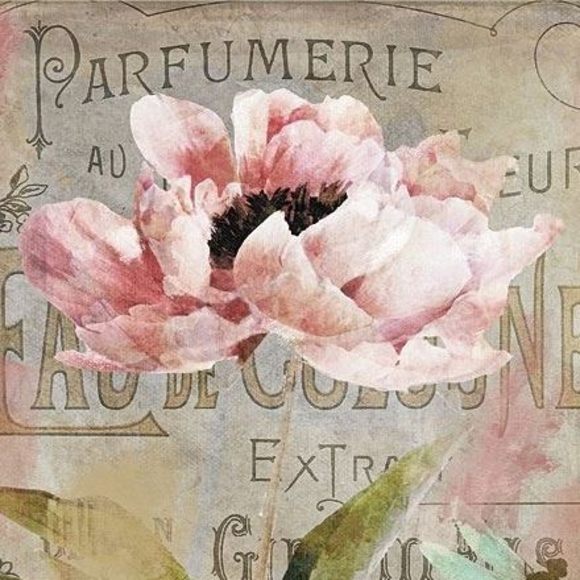 Meet your Posher, Shelly - Picture 1 of 1